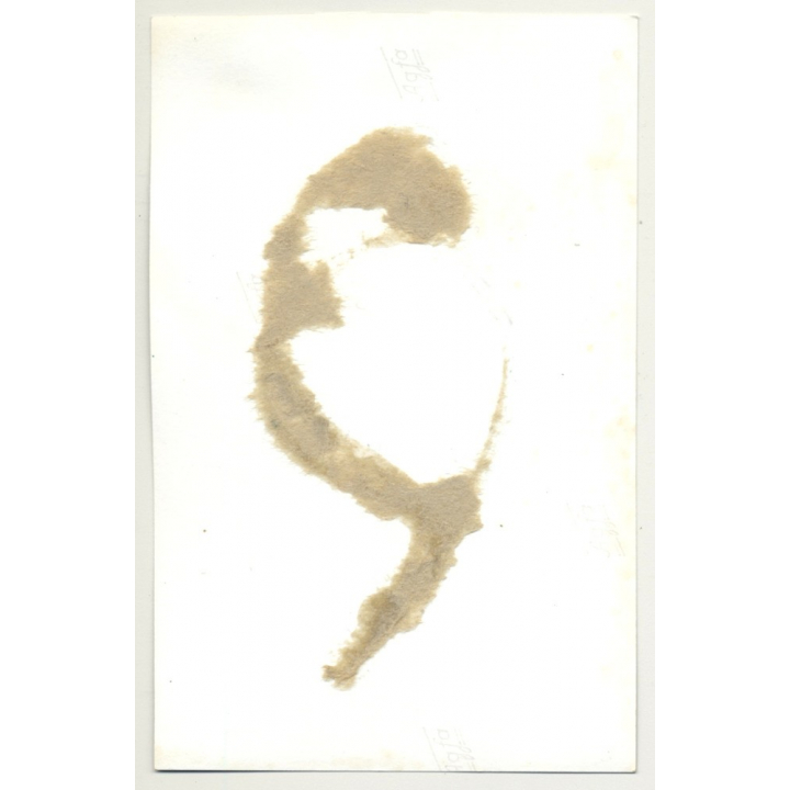 Nude Shorthaired Woman *4 / Choker - Metal Belt - BDSM (Vintage Photo GDR 1960s)