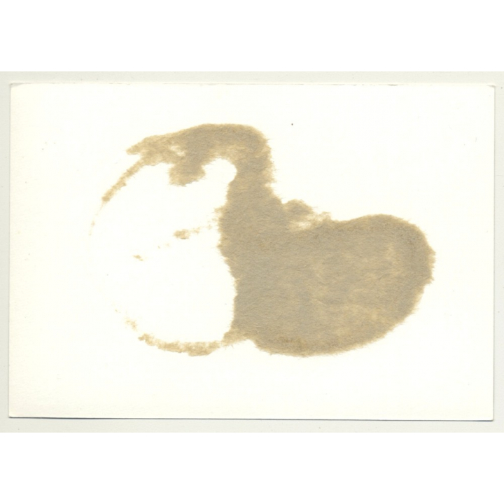 Blonde Woman In Latex Dress Tied On Floor / BDSM (Vintage Photo ~1960s)