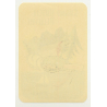 Andalsnes / Norway: Grand Hotel Bellevue (Vintage Luggage Label)