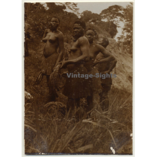 Congo-Belge: Group Of Native Females In Steppe / Bast Skirt (Vintage Photo Sepia 1930)
