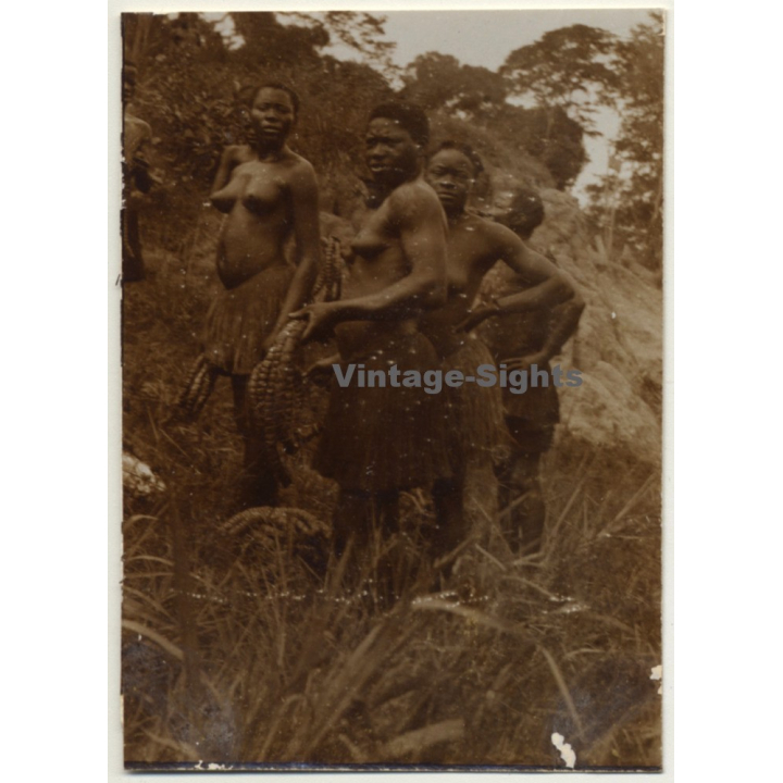 Congo-Belge: Group Of Native Females In Steppe / Bast Skirt (Vintage Photo Sepia 1930)