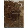 Congo-Belge: Group Of Native Females In Steppe / Bast Skirt (Vintage Photo Sepia 1930)