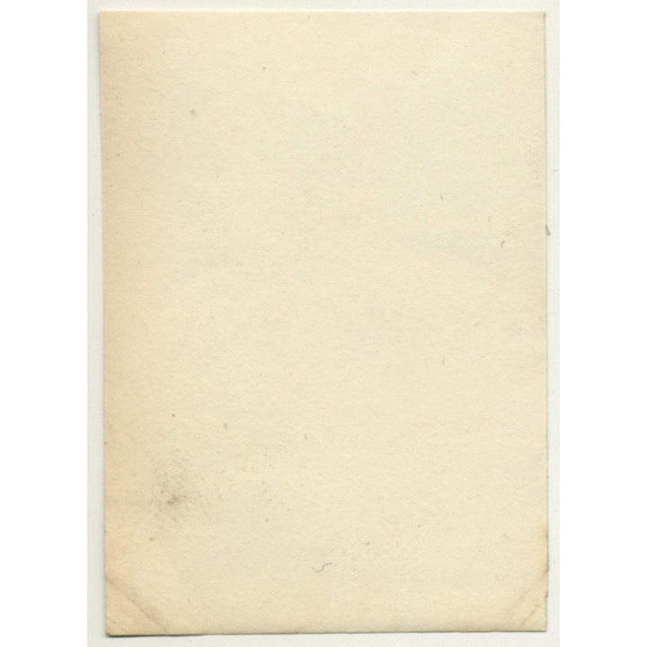 Congo-Belge: Group Of Native Females In Steppe / Bast Skirt (Vintage Photo Sepia 1930)