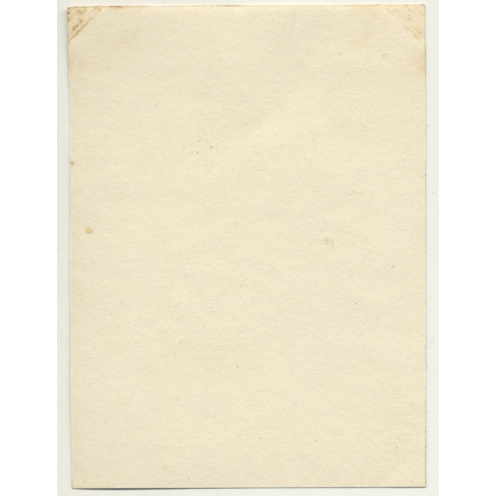 Congo-Belge: Group Of Native Females In Steppe *2 / Bast Skirt (Vintage Photo Sepia 1930)