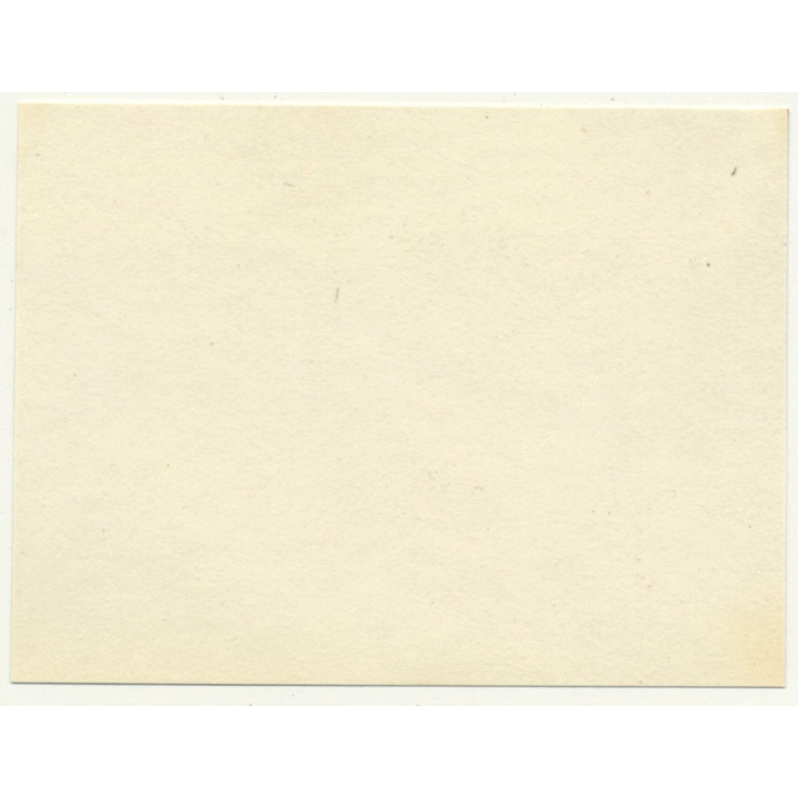 Congo-Belge: Colonial Officer & Friend On The Outskirts Of Matadi (Vintage Photo 1930)