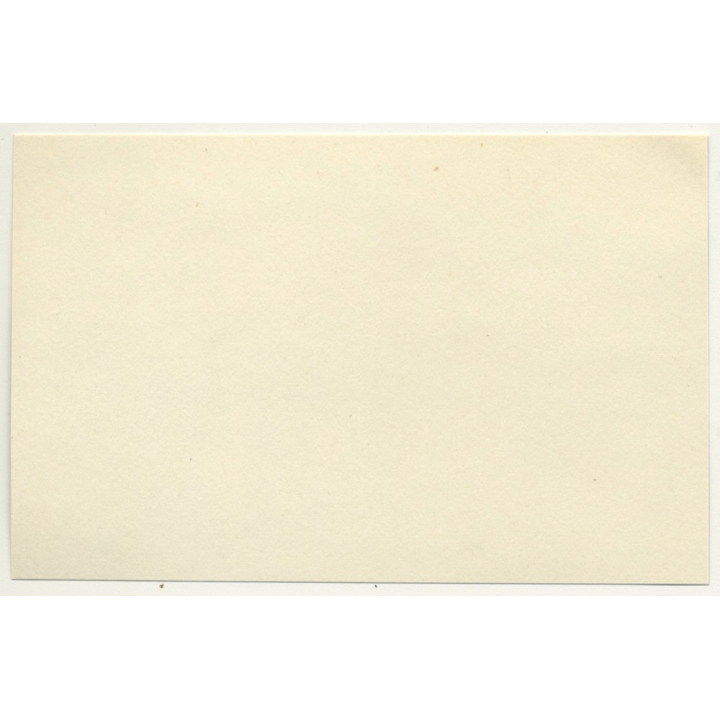 Boma / Congo-Belge: Colonial Officer & Force Publique Soldiers / Outskirts (Vintage Photo 1930)