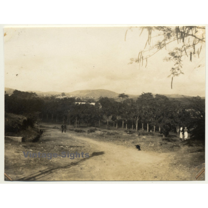 Boma / Congo-Belge: Outskirts - Forest (Vintage Photo 1930)
