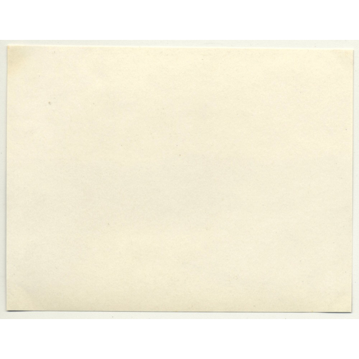 Boma / Congo-Belge: Outskirts - Forest (Vintage Photo 1930)