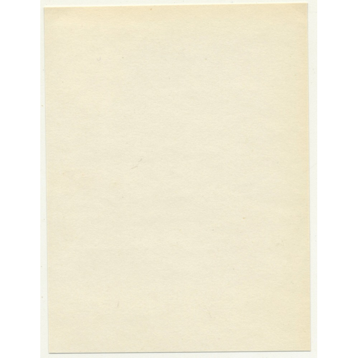 Boma / Congo-Belge: Street Scene - Tree Avenue (Vintage Photo 1930)