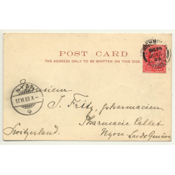 London / UK: New Law Courts (Vintage Postcard 1903)