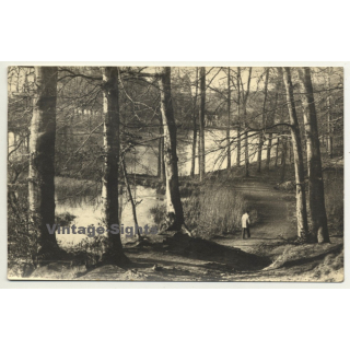 Stroller In Forest / Trees (Vintage RPPC Belgium ~1930s/1940s)