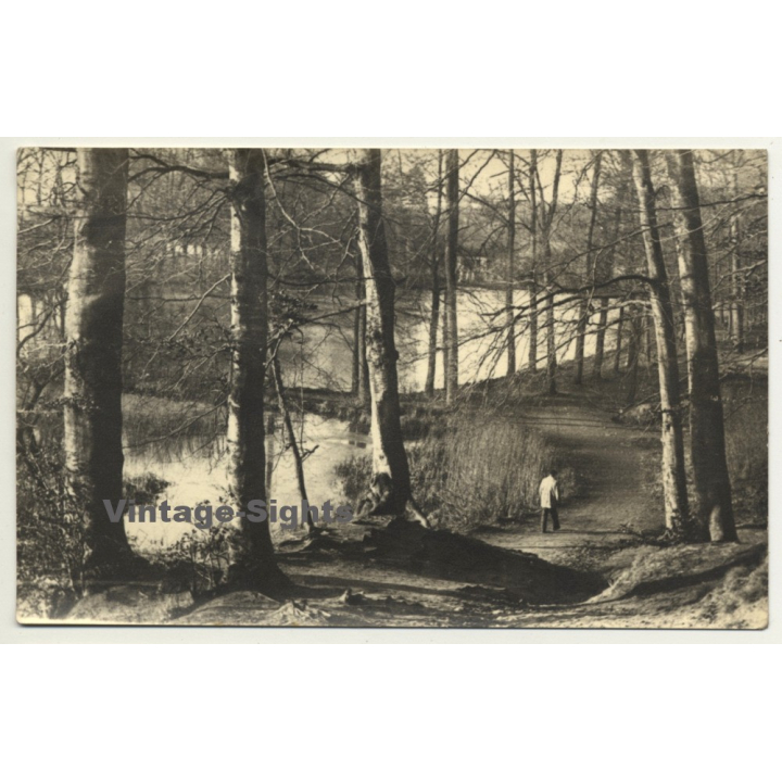 Stroller In Forest / Trees (Vintage RPPC Belgium ~1930s/1940s)