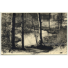 Forest Still Life - Lake - Trees (Vintage RPPC Belgium ~1930s/1940s)