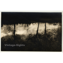 Forest Still Life - Tree Reflections On Lake (Vintage RPPC Belgium ~1930s/1940s)