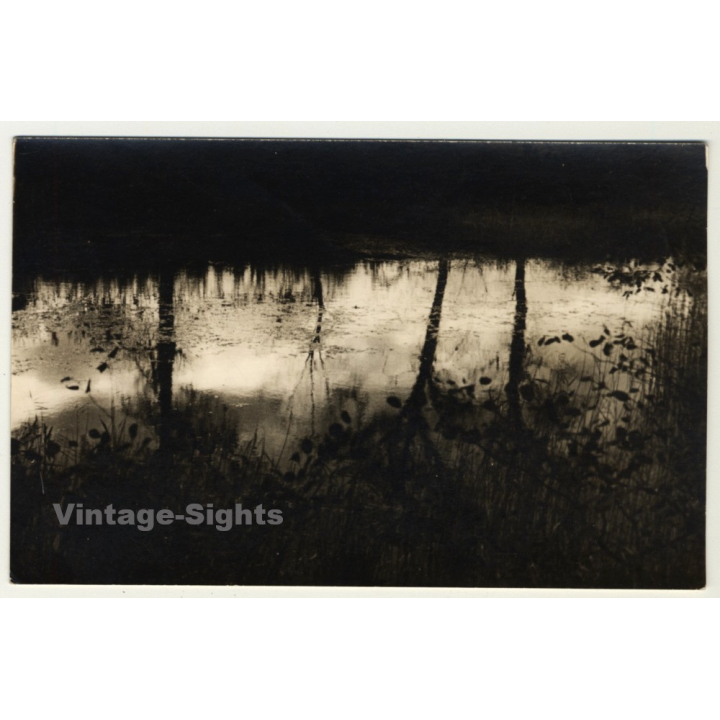 Forest Still Life - Tree Reflections On Lake (Vintage RPPC Belgium ~1930s/1940s)