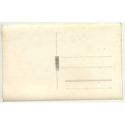 Forest Still Life *2 - Tree Avenue (Vintage RPPC Belgium ~1930s/1940s)