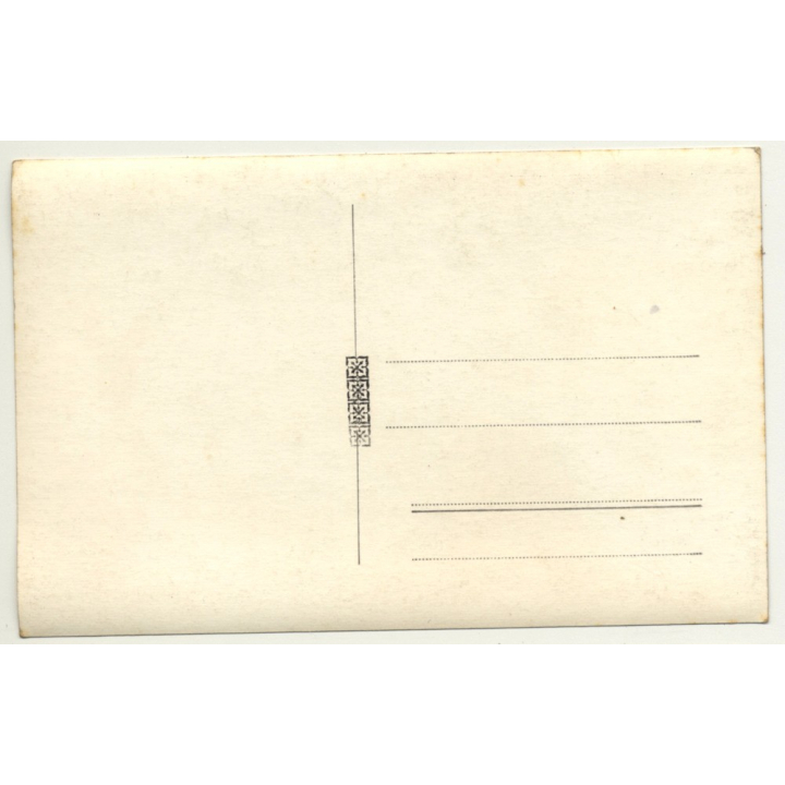 Forest Still Life *2 - Tree Avenue (Vintage RPPC Belgium ~1930s/1940s)