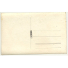 Forest Still Life *2 - Tree Avenue (Vintage RPPC Belgium ~1930s/1940s)