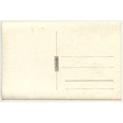 Forest Still Life *3 - Tree Avenue (Vintage RPPC Belgium ~1930s/1940s)