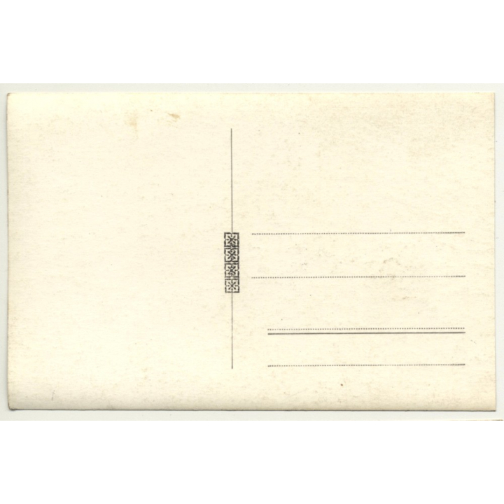 Forest Still Life *3 - Tree Avenue (Vintage RPPC Belgium ~1930s/1940s)