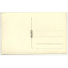 Park Avenue On Lake Shore / Tree Reflections (Vintage RPPC Belgium ~1930s/1940s)