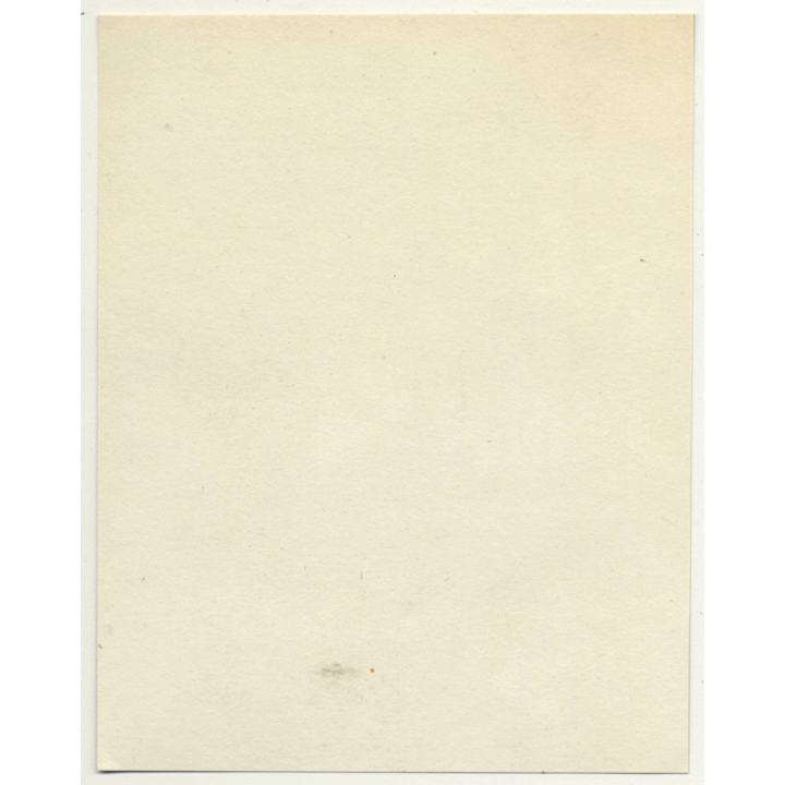 Trip To Congo-Belge: On The Deck Of The S.S. Anversville *1 (Vintage Photo 1930)