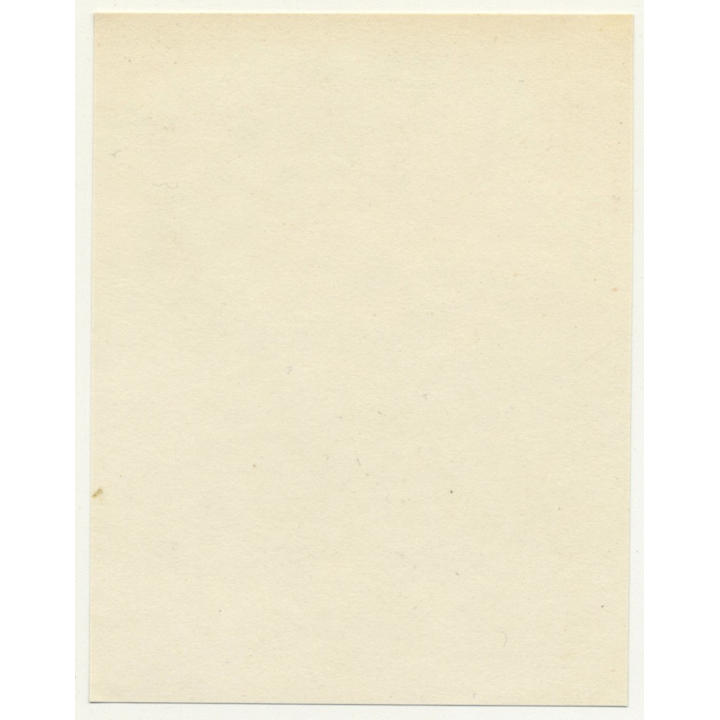 Trip To Congo-Belge: On The Deck Of The S.S. Anversville *2 (Vintage Photo 1930)