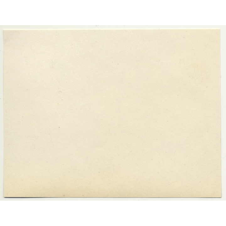 Trip To Congo-Belge: On The Deck Of The S.S. Anversville *3 (Vintage Photo 1930)