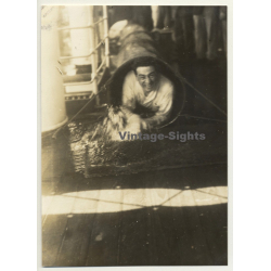 Trip To Congo-Belge: Equator Baptism *1 / S.S. Anversville Deck (Vintage Photo 1930)