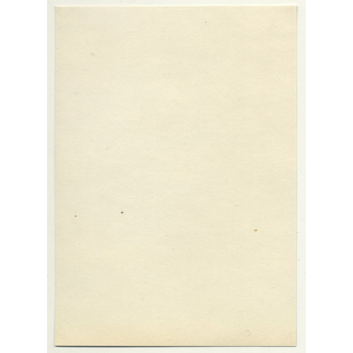 Trip To Congo-Belge: Equator Baptism *1 / S.S. Anversville Deck (Vintage Photo 1930)