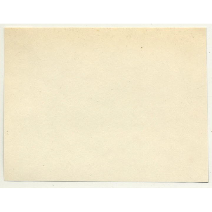 Trip To Congo-Belge: Equator Baptism *2 / S.S. Anversville Deck (Vintage Photo 1930)