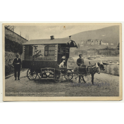 Bremer Stadtmusikanten / Esel - Hund Katze - Hahn (Vintage Postcard)