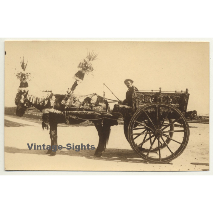 Italy: Carro Siciliano - Burro - Donkey - Mule (Vintage RPPC Sepia)