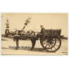 Italy: Carro Siciliano - Burro - Donkey - Mule (Vintage RPPC Sepia)