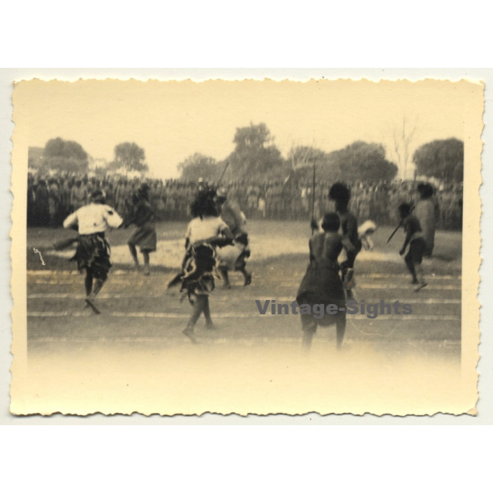 Congo-Belge: Dancers At Tribal Meeting / Ceremonial Dress (Vintage Photo ~1930s/1940s)
