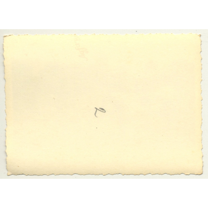 Congo-Belge: Dancers At Tribal Meeting / Ceremonial Dress (Vintage Photo ~1930s/1940s)