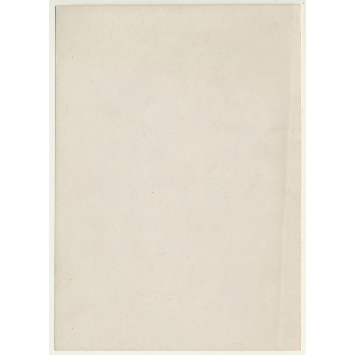 Belgian Upper Society Family *1: Mother & Baby (Vintage Photo Sepia ~1910s/1920s)