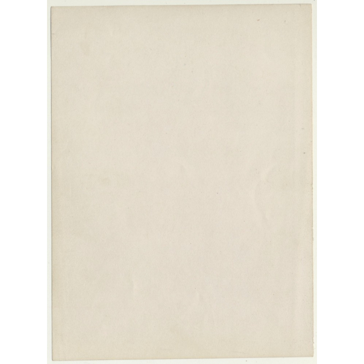 Belgian Upper Society Family *2: Grandma & Grandchildren (Vintage Photo Sepia ~1910s/1920s)