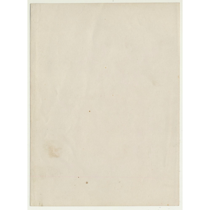 Belgian Upper Society Family *3: Mother & Baby (Vintage Photo Sepia ~1910s/1920s)