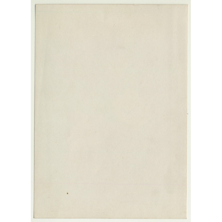 Belgian Upper Society Family *4: Brothers & Sisters (Vintage Photo Sepia ~1910s/1920s)