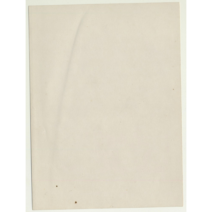 Belgian Upper Society Family *5: Young Boy & Baby / Wicker Chair (Vintage Photo Sepia ~1910s/1920s)