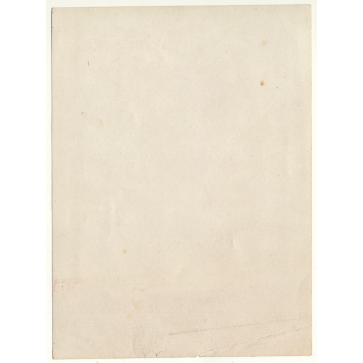 Belgian Upper Society Family *6: Grandfather & Grandsons / Sailor Suit (Vintage Photo Sepia ~1910s/1920s)