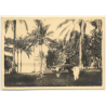 Congo-Belge: View Over Farm To Léopoldville (Vintage Photo 1929)