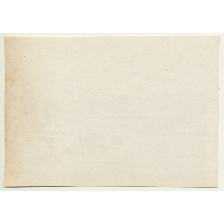 Tanger / Morocco: Polo Team Country Club Diplomatique De Tangier *3 (Vintage Photo 1930)