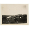 Tanger / Morocco: Polo Player On Horse / Spectators C.C.D.T. (Vintage Photo 1930)