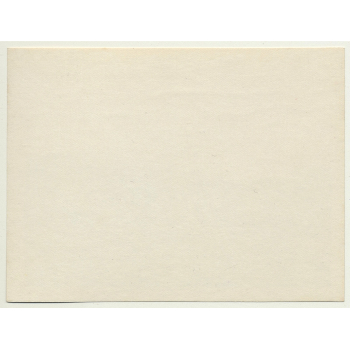 Tanger / Morocco: Polo - Spectators - Country Club Diplomatique De Tangier (Vintage Photo 1930)