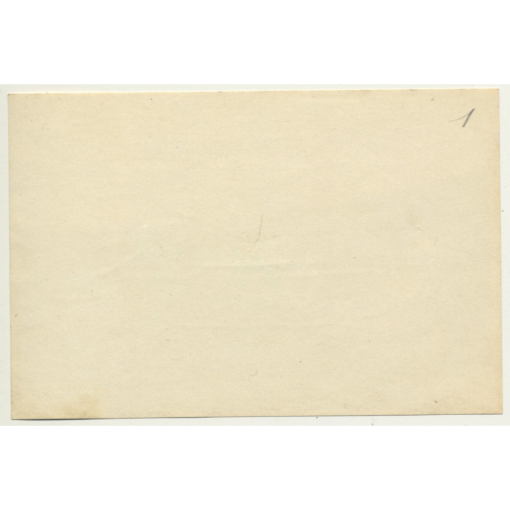 Tanger / Morocco: Polo - Spectators - Country Club Diplomatique De Tangier *2 (Vintage Photo 1930)