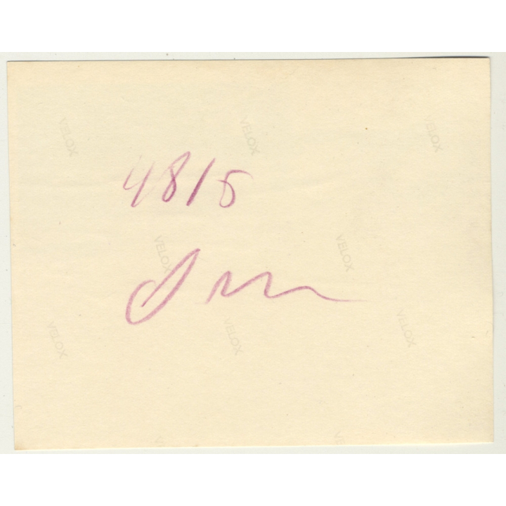 Morocco: View Over Tanger Taken From Hotel Villa De France *1 (Vintage Photo Sepia 1930)