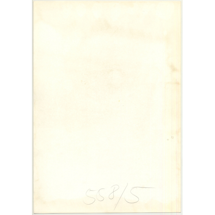 Nude Female Shower Study *1 (Vintage Photo 1980s Wolfgang Klein ~DIN A3)