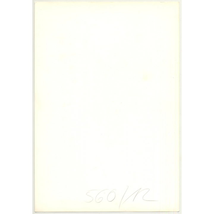 Nude Female Shower Study *3 (Vintage Photo 1980s Wolfgang Klein ~DIN A3)